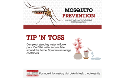 Mosquito Prevention Post